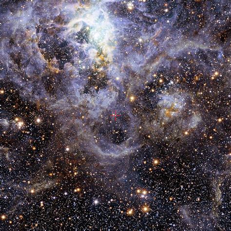 Tarantula Nebula Photograph By M R Cionivista Magellanic Cloud