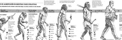 Evolución Del Hombre Y Su Alimentación En La Prehistoria Un Análisis
