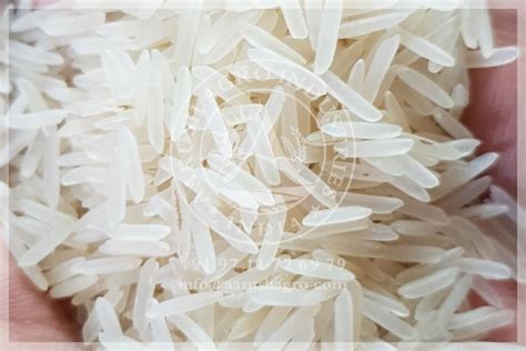 … it has less fragrance than 1121 basmati rice and is used as a substitute. Basmati Rice Exporter in India | Basmati Rice Suppliers in ...
