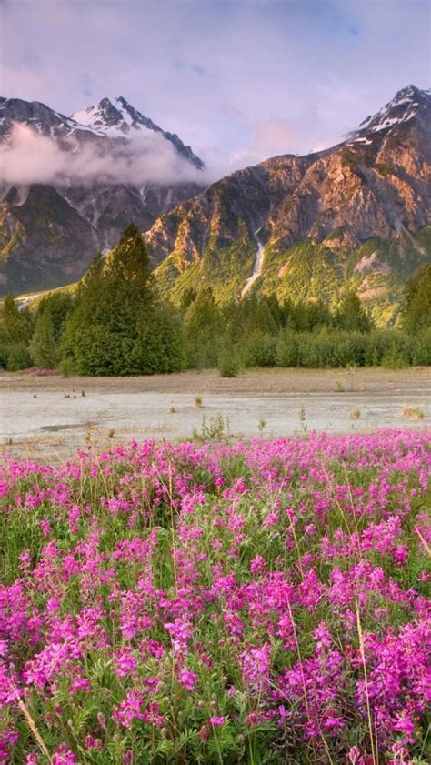 Free Download Spring Mountains Desktop Wallpaper 1920x1200 For Your