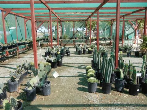 2059 s avenue a, yuma, az 85364, usa. Yuma Nursery Supply | Yuma, AZ 85365 | Nursery supplies ...