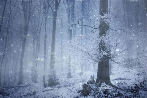 Forest In Winter With Snow Falling By Atmospheric Visuals Winter