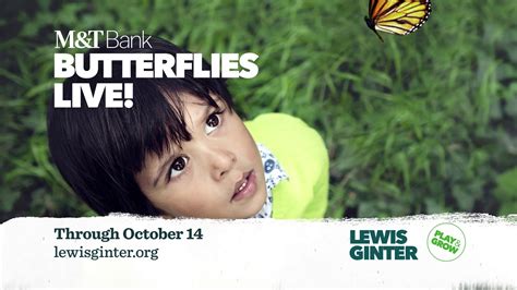 Pros, cons and how it compares. M&T Bank Butterflies LIVE! - YouTube