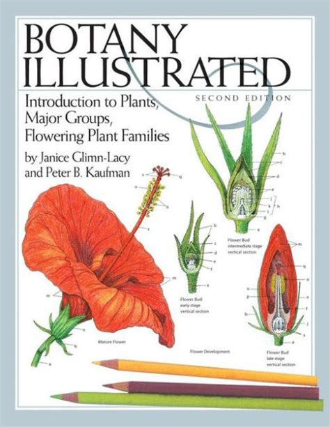 Botany Illustrated Introduction To Plants Major Groups Flowering