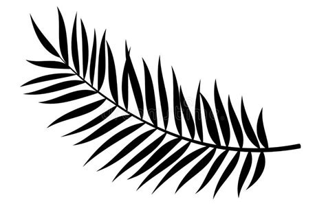 Palm Leaf Vector Background Illustration Realistic Palm Tree Leaf