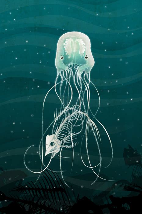 The cannonball jellyfish is the most common jellyfish on the coast of the southeastern united states, although it also occurs on the basic animal group: Dreyken´s Savage Creatures: The Box Jellyfish - La Medusa Caja