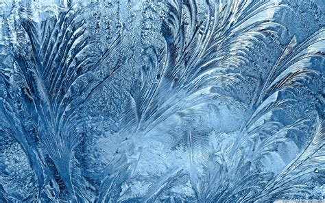 Frozen Ice Flowers Window Glass Wallpapers Wallpaper Cave
