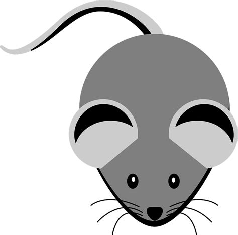 Cartoon Grey Mouse Clipart Free Download Transparent Png Creazilla