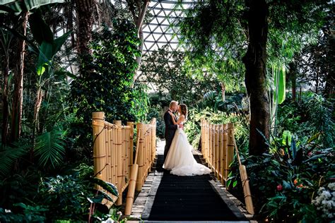 Exotic Green Elopement At Bloedel Conservatory Vancouver Bc