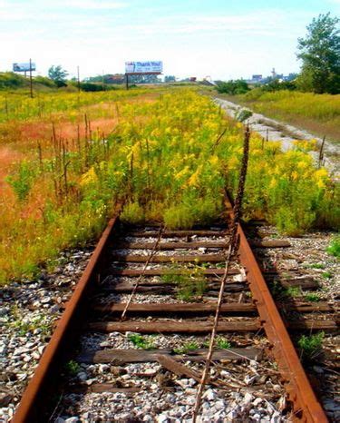 Tracks and plants | Railroad tracks, Train tracks, Landscape