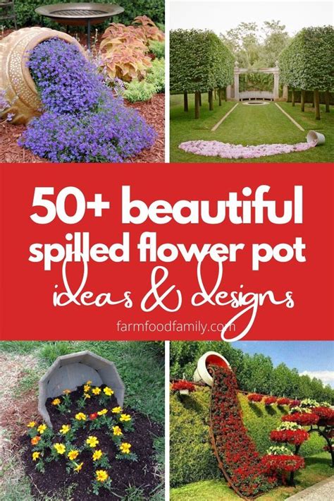 50 Beautiful Spilled Flower Pot Ideas To Inspire Yourself