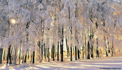 Widescreen Winter Images All Hd Wallpapers