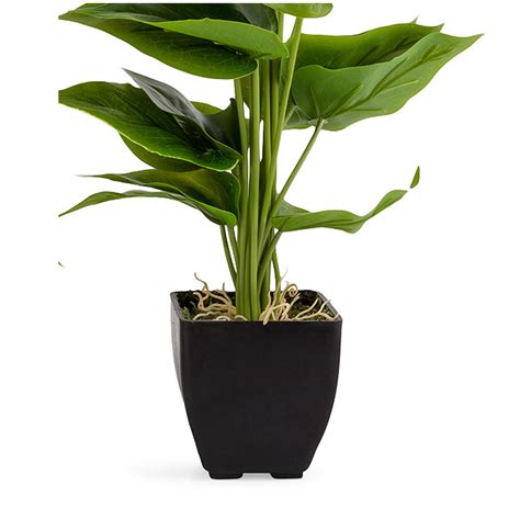 How tall do calla lilies grow? 40cm Artificial Calla Lily Potted Plant - Set Of 2 | Home ...