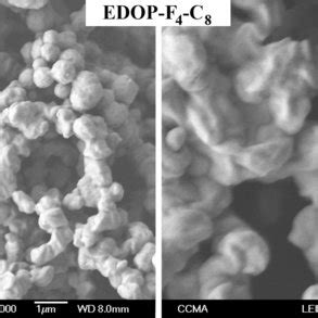 Sem Images Of The Polymer Films Obtained With The Edop Derivatives With