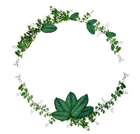 Circle Leaf Pngs For Free Download