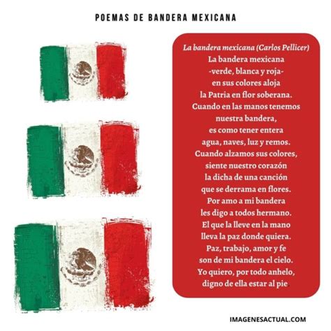 Poemas De La Bandera 5 Imágenes Actual