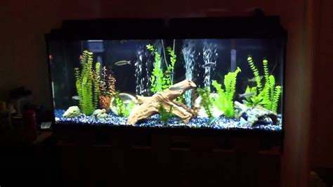 New Background For My Top Fin 55 Gallon Aquarium Youtube