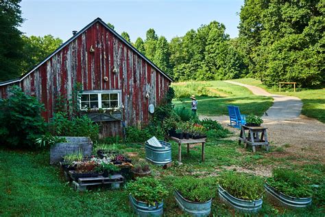A widow takes the helm at legendary Blackberry Farm | The Seattle Times