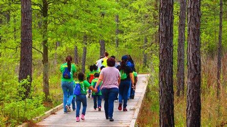The big thicket national preserve of southeast texas is one of the most popular attractions in the area and is located just down the road from the property. Big Thicket National Preserve Cabins - HOME DECOR