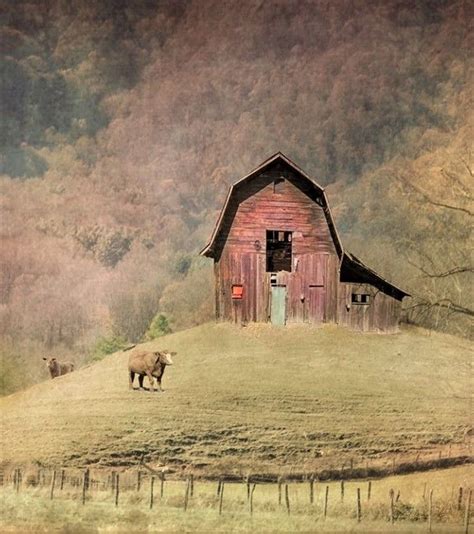 Pin By Lori Dorrington On Barns Great And Small Old Barns Country Life Old Things