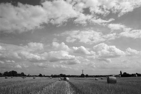 Field Of Grey Free Photo Download Freeimages