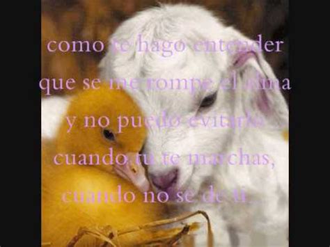 Y que más puedo hacer para complacerte con todo lo que te digo no logro convencerte te canto esta canción quiero saber. COMO TE HAGO ENTENDER, ROBERTO ROENA - YouTube