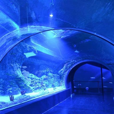 Entradas Atlantis Aquarium Xanadú 2023 Pacommunity