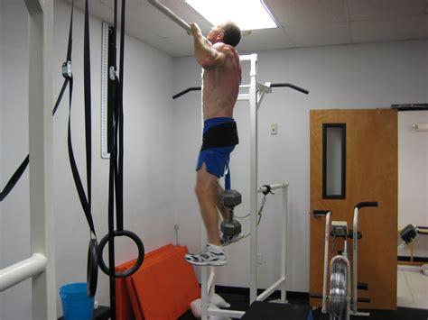 Photoaltan7 Weighted Pull Ups