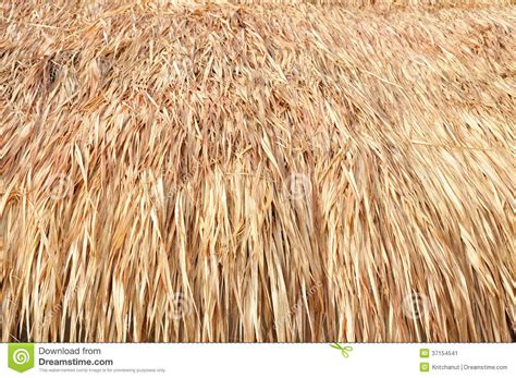 Thatch Roof Stock Image Image Of Natural Leaf Closeup 37154541