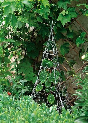 Lay your wood boards 40 apart, spaced evenly top to bottom. Garden Materials: Chicken Wire | Chicken wire art, Chicken ...
