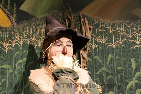 Scarecrow The Scarecrow A Brain The Wizard Of Oz Dorothy