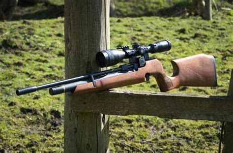 Best Air Rifle Top 10 Reviews 2022 Hot Sex Picture