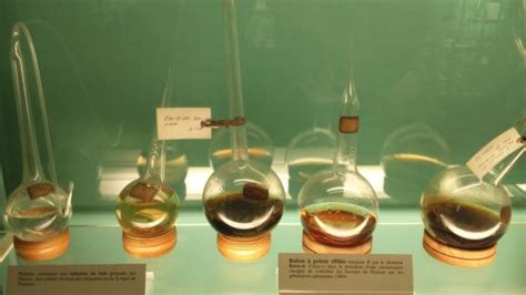 The shape of the flask was an integral part of pasteur's discovery. Pasteur Museum (Paris) - 2020 All You Need to Know BEFORE ...