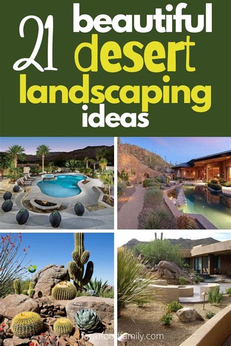 21 Cheap Desert Backyard Landscaping Ideas Drought Tolerant Gardens
