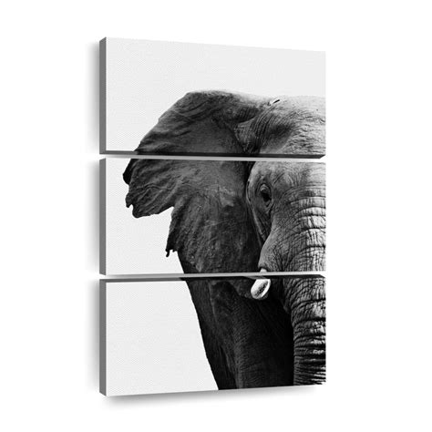 Wrinkled African Elephant Wall Art Photography