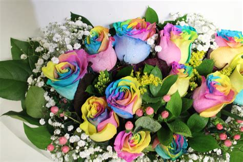 Rainbow Rose Bouquet Normas Flowers Nj