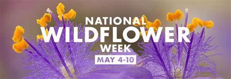 National Wildflower Week