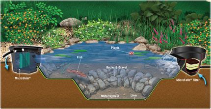 Im also building a duck pond this spring, i like all the ideas. MicroPond Kit Makes It Easy to Have A Backyard Pond