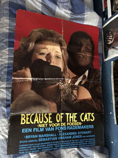 Because Of The Cats Filmposter Fons Rademakers Filmposter Film De