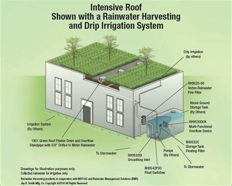 Intensive Roof With Rainwater Harvesting And Irrigation System A