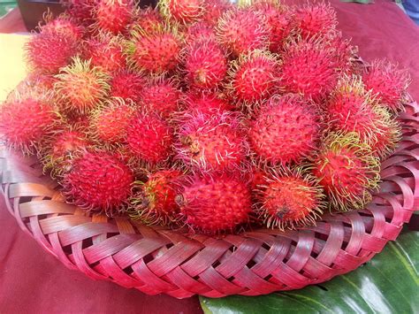 A friend of mine is trying to identify a tree in her yard that bears strange fruit. Spiky Lychee Fruits In A Red Basket Stock Photo - Image of ...