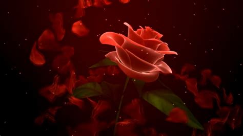 Beautiful Animated Rose Background Video Effects Hd Youtube
