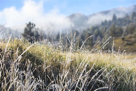 Morning Frost On A Patch Of Grass With Mountains In The