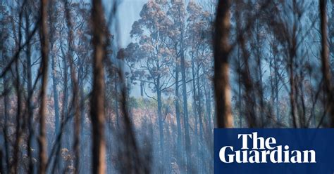 The Destructive Tasmanian Bushfires 2019 In Pictures Australia News The Guardian