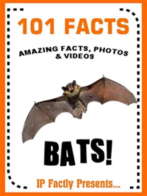 Learn how they see in the dark, what they eat and mate. 101 Bat Facts | Fun Facts You Need to Know!