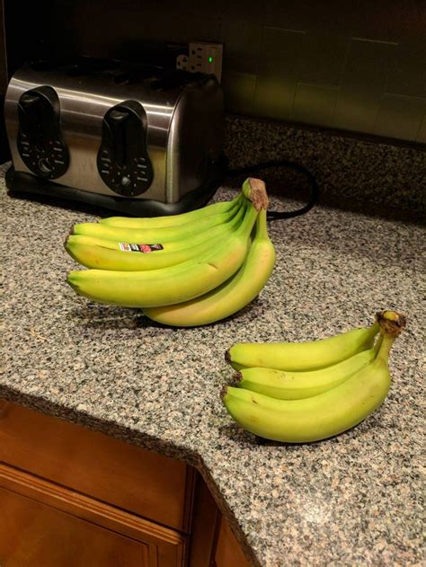 These Rather Large Bananas With Bananas For Scale Large Banana