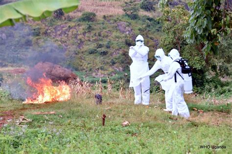 The Marburg Virus Disease Outbreak In Uganda Is Over Who Regional Office For Africa