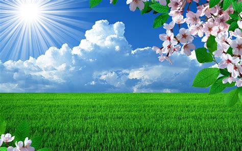 Spring Sunrise Wallpapers Top Free Spring Sunrise Backgrounds Wallpaperaccess