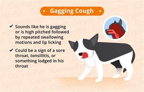 Youtuber the spiffing brit exposes a very simple youtube hack via the community posts feature, creating havoc in comment sections. Dog Coughing: Causes & Natural Remedies | Canna-Pet