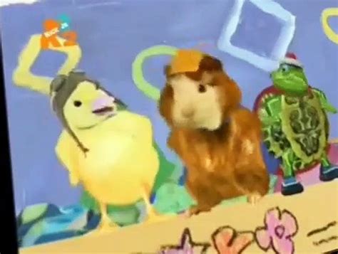The Wonder Pets Cool Cat And Hip Hippo And Tuck And Buck Video Dailymotion